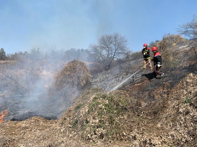 본 사진은 기사와 무관함 〈사진=연합뉴스〉