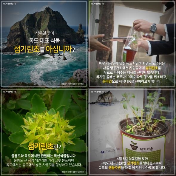 독도 대표 식물 '섬기린초'를 소개하는 카드뉴스 〈사진=연합뉴스〉