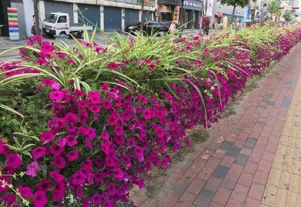 사진=중랑구 제공