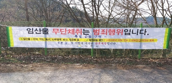 나주시 임산물 불법 채취 금지 현수막/사진=나주시