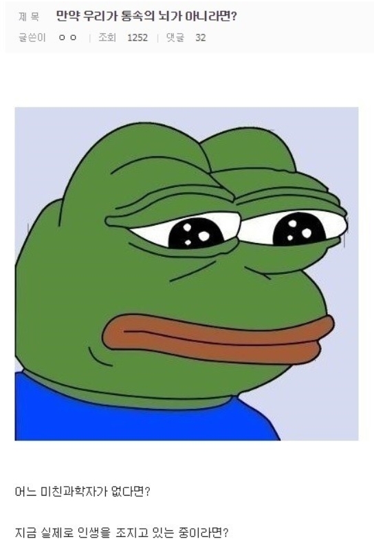 '통 속의 뇌' 디씨 버전.