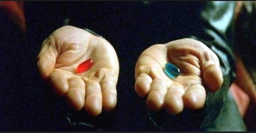 영화 '매트릭스'에서 네오(키아누 리브스)는 진실을 깨닫게 해주는 빨간약을 선택한다. 모든 것이 지난 뒤 관객은 네오가 선택한 진실도 결국 허구의 일부분이라는 걸 알게 된다.