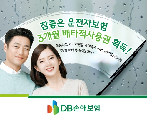 이미지 제공 = DB손해보험