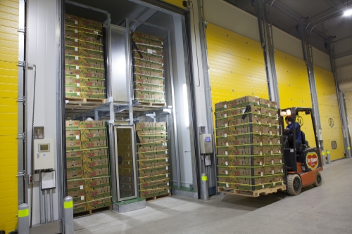 사진 제공 = 델몬트