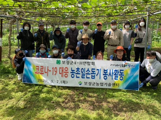 보성군4-H, 코로나19 극복 농촌일손돕기 봉사활동/사진=보성군
