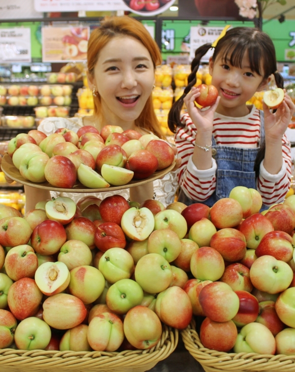 사진 제공 = 롯데마트