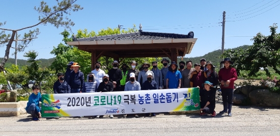 지난 13일 진도군은 공직자와 기관‧사회단체, 주민자치회 회원 200여명이 본격적인 농번기를 맞아 농촌일손돕기를 실시했다/사진=진도군