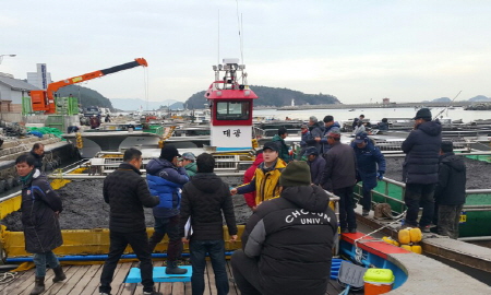 2020년산 고흥군 생김이 99만 880톤 위판됐다.또 932억원의 위판액을 기록해 생산량과 금액 모두 전국 1위를 달성한 위엄을 달성했다/사진=고흥군