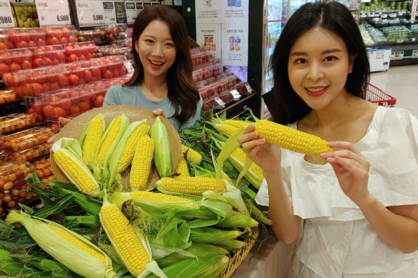 사진 제공 = 롯데마트