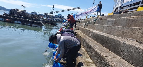 보성군은 20일 벌교읍 상진항, 득량면 선소항, 회천면 군학항에서 관계 공무원, 유관기관, 어촌계장 및 어업인 등이 참여해 점농어 치어 10만 미를 방류 시켰다/사진=보성군