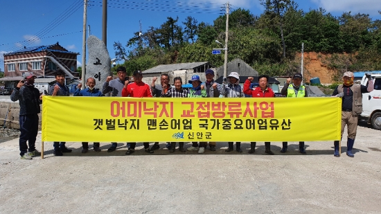 신안군은 갯벌낙지 맨손어업 국가중요어업유산인 어미낙지 교접방류사업을 실시함으로 낙지자원량 증대를 도모할 계획이다/사진=신안군