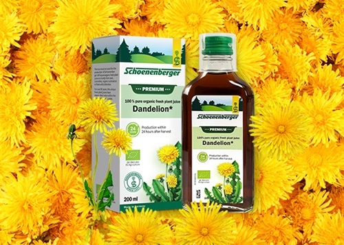 사진=필네이처 민들레 착즙주스