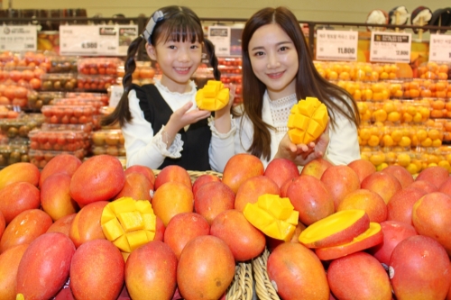 사진 제공 = 롯데마트