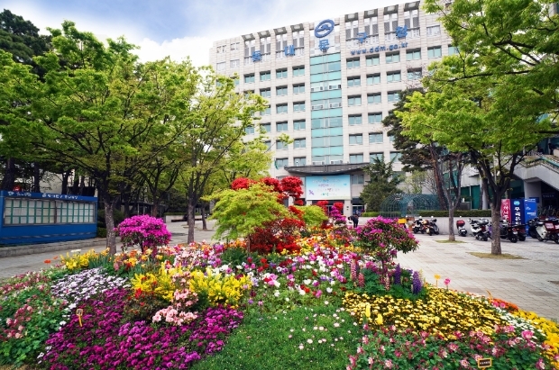 ▲ 동대문구청