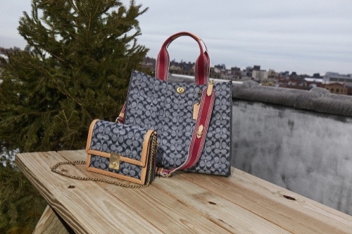 사진 제공 = 코치