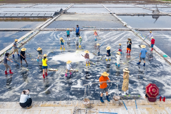 지난 2019년 관광사진공모전 금상 염전체험/사진=전라남도