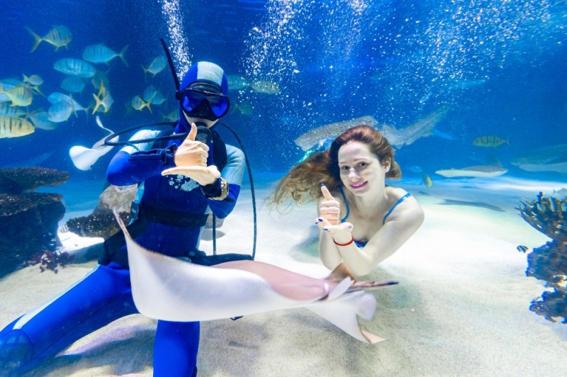 한화 아쿠아플라넷, #의료진덕분에 챌린지 동참