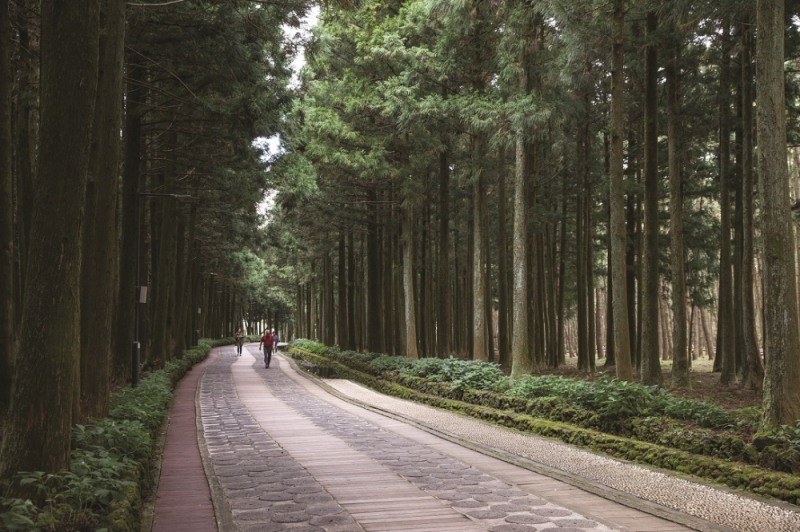 보행약자를 위한 무장애나눔길, 복권기금 지원