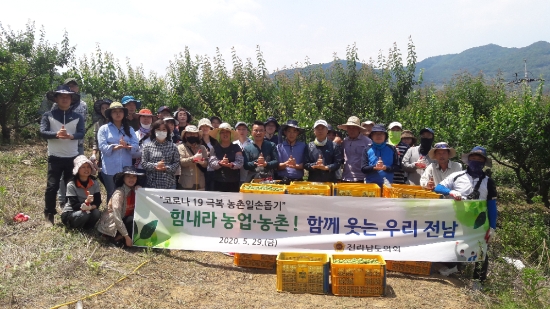29일 전남도의회 직원 70여명은 광양 매실농가에서 농촌일손돕기 봉사활동을 펼쳤다.