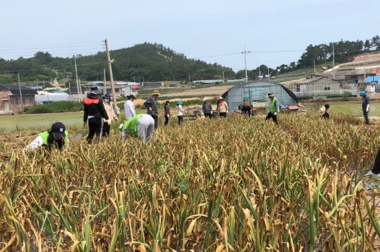 사진 제공 = 신안군