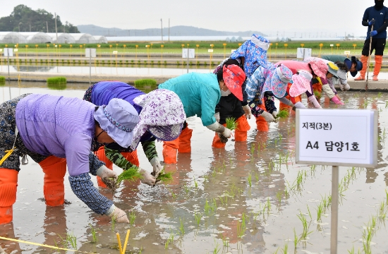 사진=담양군