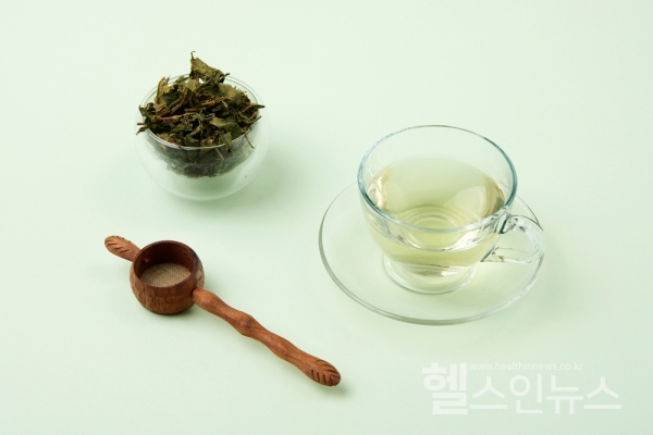 “녹차, 방광염 치료 및 항생제 내성 예방에 긍정적”