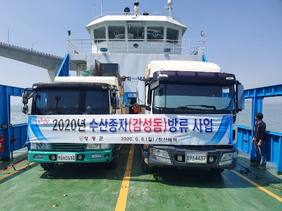 사진 제공 = 영광군
