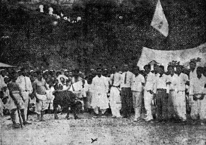 1934년 경북 의성에서 열린 소타기 씨름대회 모습