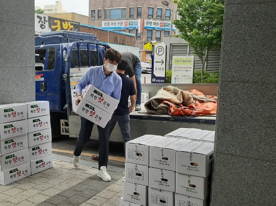 보성군은 지난 11일부터 자매결연 지자체에 지역 특산품인 ‘회천감자’를 공급해 지역 간 교류 활성화에 앞장서고 있다/사진=보성군