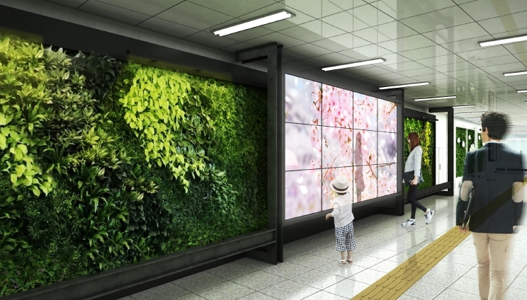 사진=강남구 제공
