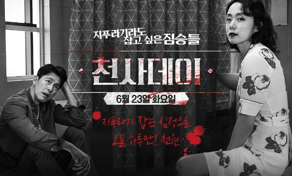 이미지 제공 = 홈초이스