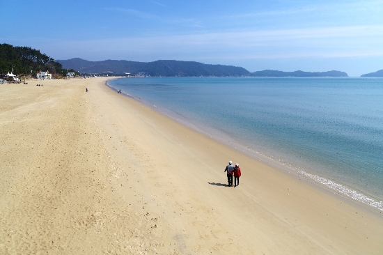 완도군 신지 명사십리 해수욕장/사진=완도군