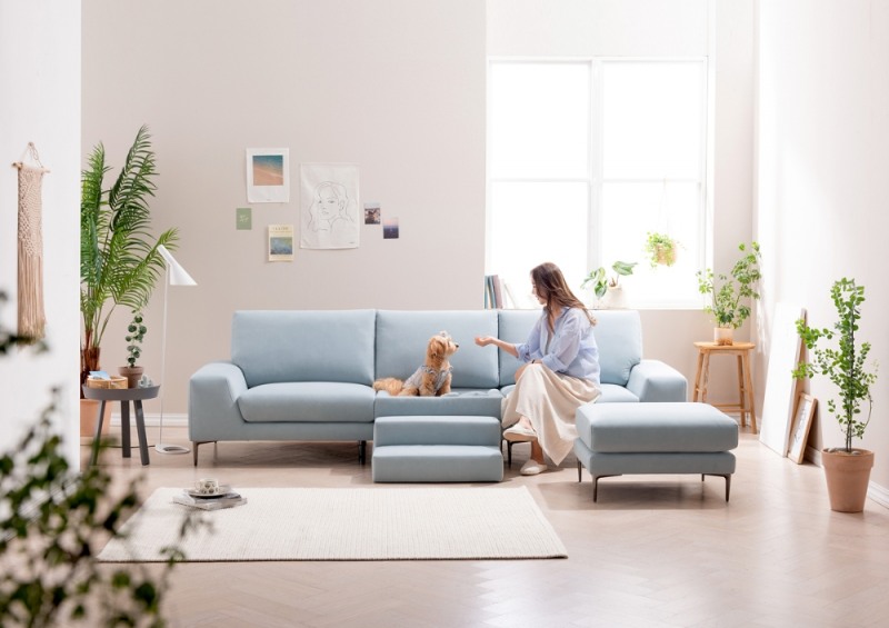 패브릭소파 에싸(ESSA) 유기견 행복 나눔 캠페인 및 반려견 소파 출시