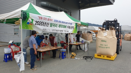 강진농협의 살귀리 위탁수매 현장/사진=강진군