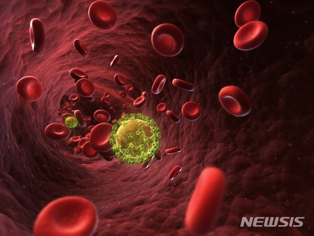 질병관리본부는 3일 2019 HIV/AIDS 신고현황 연보를 발간했다고 밝혔다. 2019년 에이즈 감염인은 1222명으로 전년대비 1.3% 증가했다.