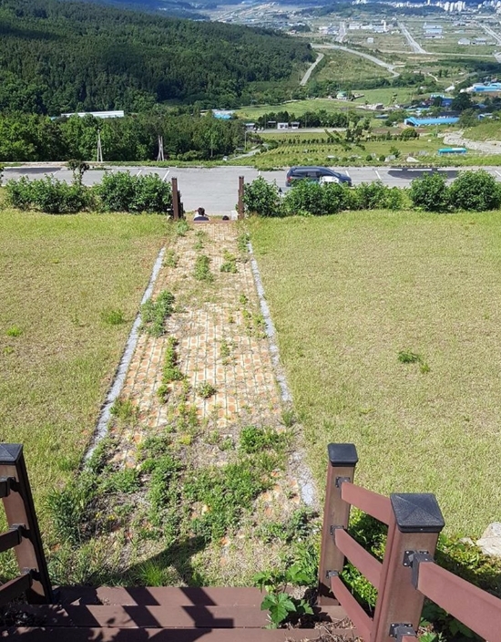 잔디형 공설자연장지/사진=장흥군