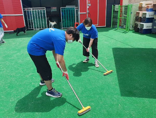 bhc치킨 ‘해바라기 봉사단’, 유기견 돌봄 활동에 구슬땀