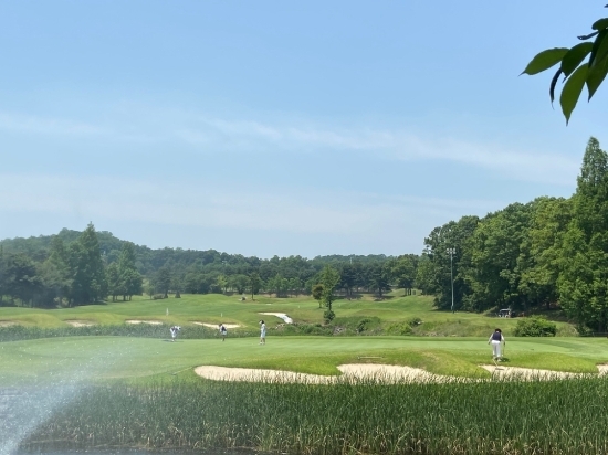 '골프장 안에 핸디캡이 있다' 아마골퍼들은 보통 라운드를 하기 전 상대방의 핸디캡이 어느정도인지 묻는다.