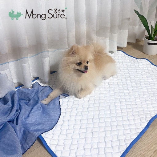 무더운 여름, ‘웨치바이오’ 에어컨 애견 쿨매트로 우리 강아지 고양이 체온 관리 해주세요