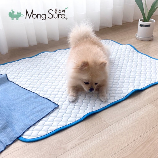 무더운 여름, ‘웨치바이오’ 에어컨 애견 쿨매트로 우리 강아지 고양이 체온 관리 해주세요