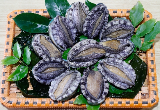 완도 전복/사진=완도군