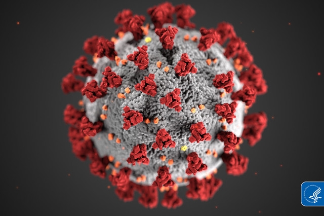 신종 코로나바이러스 감염증(코로나19) 바이러스. (사진=미국 질병통제예방센터(CDC) 제공)