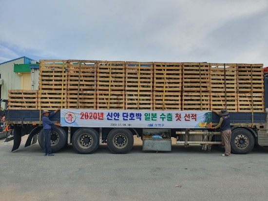 신안군 해풍맞은 섬 단호박 일본 수출/사진=신안군