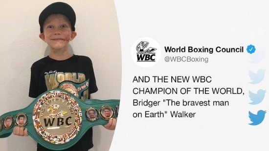 WBC, 맹견 공격서 여동생 구한 6세 소년에게 명예 챔피언 벨트 수여[WBC 공식 트위터 캡처]
