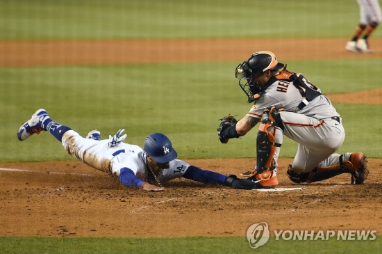 무키 베츠의 과감한 슬라이딩(로스앤젤레스 AP=연합뉴스) 로스앤젤레스 다저스 무키 베츠(왼쪽)가 24일(한국시간) 미국 캘리포니아주 로스앤젤레스 다저스타디움에서 열린 샌프란시스코 자이언츠와의 메이저리그 개막전, 7회 말 공격 때 과감하게 홈을 파고들고 있다.