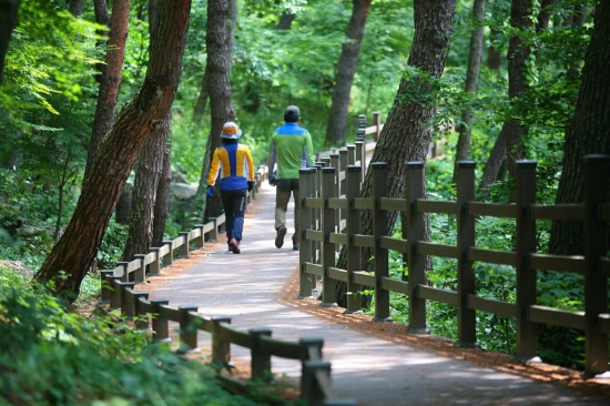 화순군 만연산 치유의 숲 오감길/사진=화순군