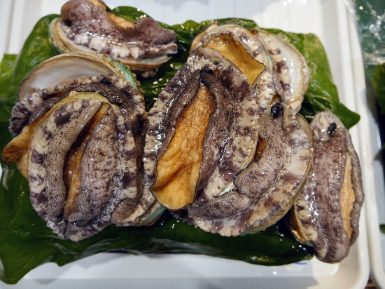 완도 활전복/사진=완도군