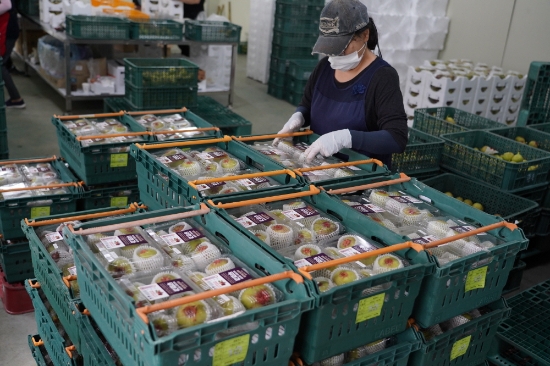 사진=해남군