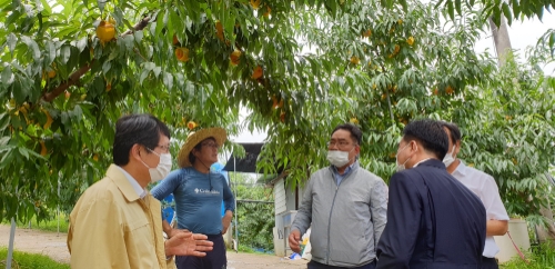 사진 제공 = NH농협은행