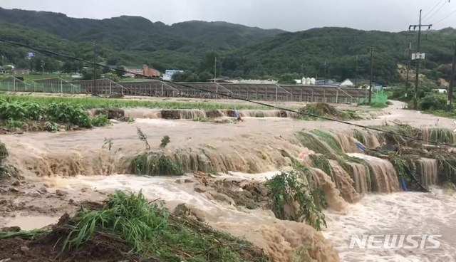 5일 오후 강원도 철원군에 닷새 동안 최대 670㎜의 기록적인 폭우가 쏟아진 가운데, 폭우로 인한 물줄기가 철원군 육단리 농수로가 주위 농경지로 범람하고 있다. (사진=철원군청 제공)